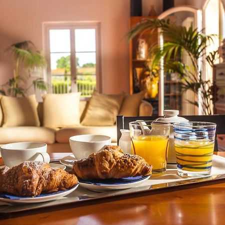 Cascina Canova B&B Сан-Джулиано-Терме Экстерьер фото