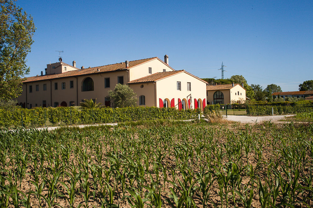 Cascina Canova B&B Сан-Джулиано-Терме Экстерьер фото