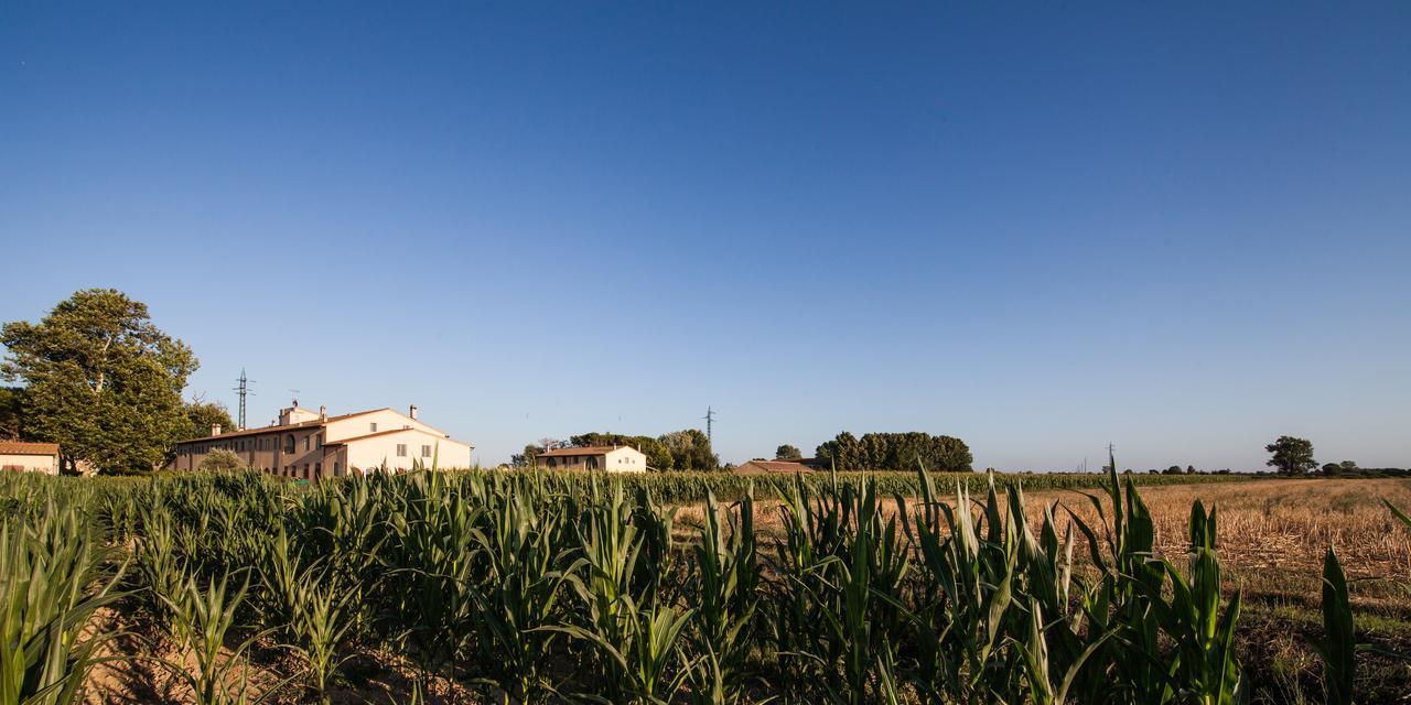 Cascina Canova B&B Сан-Джулиано-Терме Экстерьер фото