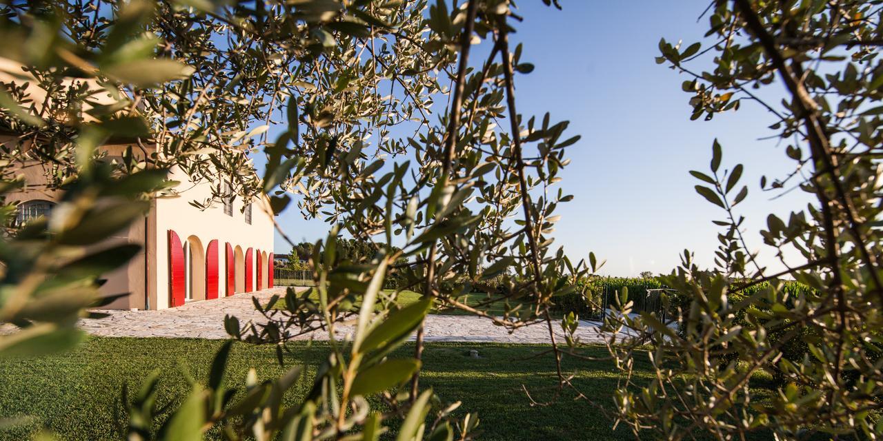 Cascina Canova B&B Сан-Джулиано-Терме Экстерьер фото