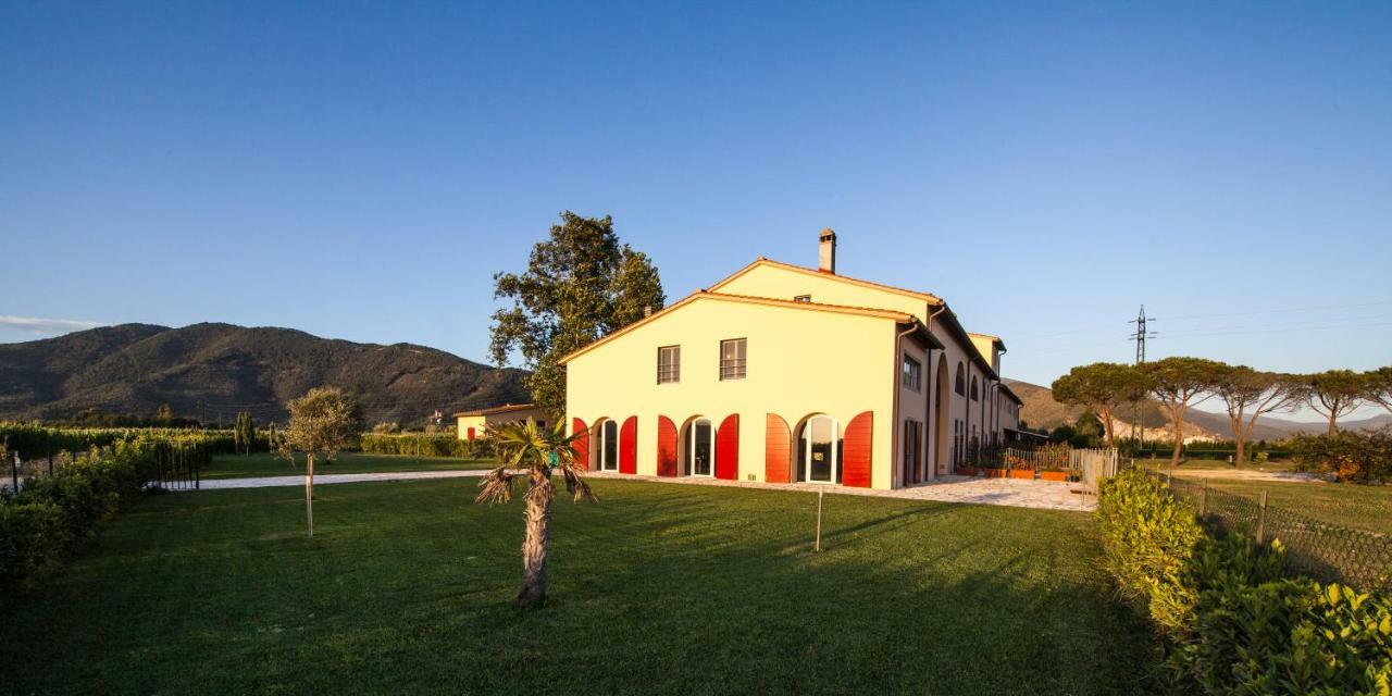 Cascina Canova B&B Сан-Джулиано-Терме Экстерьер фото
